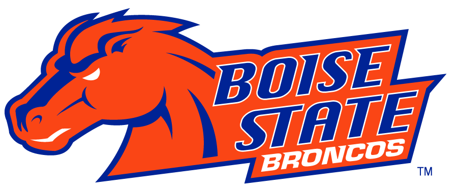Boise State Broncos 2002-2012 Secondary Logo v30 t shirts iron on transfers